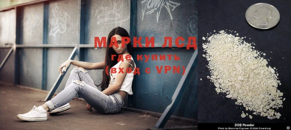 крисы Вязьма