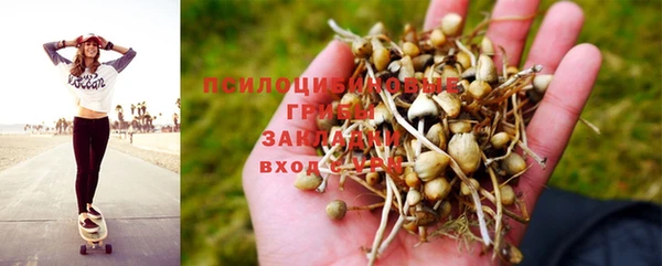 наркотики Вяземский