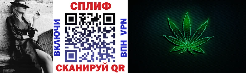 дарк нет как зайти  Инза  Канабис сатива 